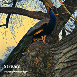 Stream