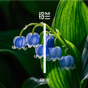 铃兰