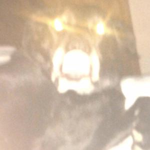 Broad Day (feat. Rx Papi)