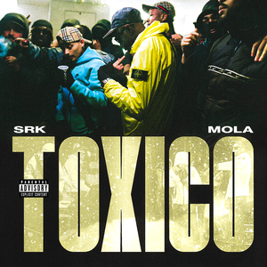TOXICO