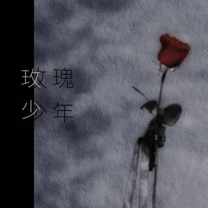 玫瑰少年（cover：Jolin）