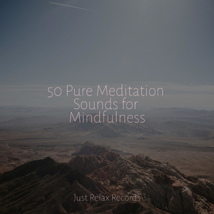 Midnight Hushful Hues