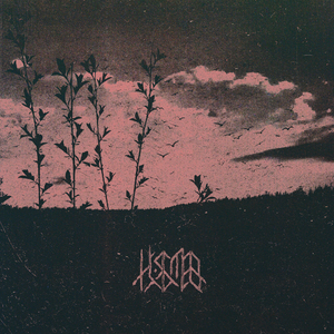 Встретить рассвет и лечь спать