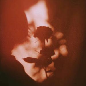 The way I still love you