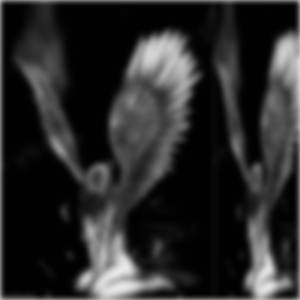 MASHENKA (supermarket)