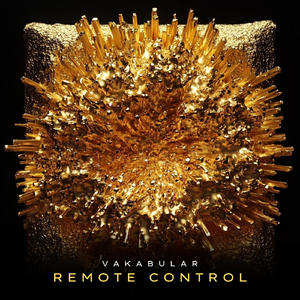 Remote Control (Extended Mix)