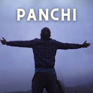 Panchi