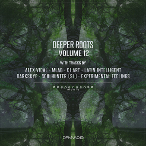 Cph4 (Alex Vidal Remix)