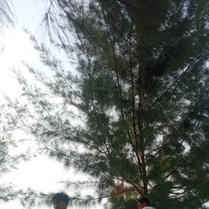 Robbi Yarobbi Salimna (Remastered 2023)