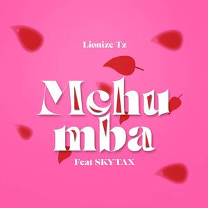 Mchumba (feat. Skytax)