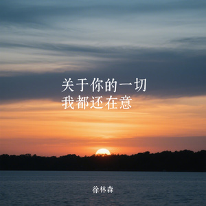 关于你的一切我都还在意