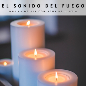 Sonidos De Fuego Forestal