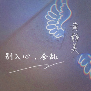 别入心,会乱 (DJ版)