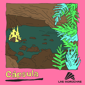 Cápsula