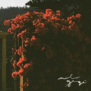 Otra Vez (feat. Scielo)