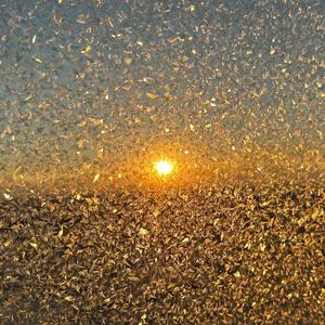 Nếu dễ thương V1(如果萌是一种天赋V2)