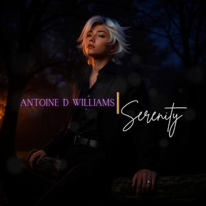 Serenity (feat. Daniel Lee of VNM)