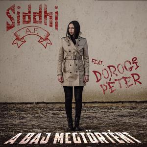 A baj megtörtént (feat. Dorogi Péter)