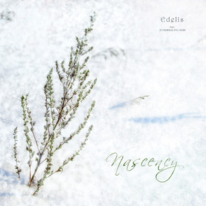 Nascency (feat. Ethereal Pilgrim)