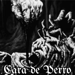 Cara de perro