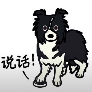 做时间的朋友