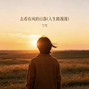 去看有风的日落（人生路漫漫）