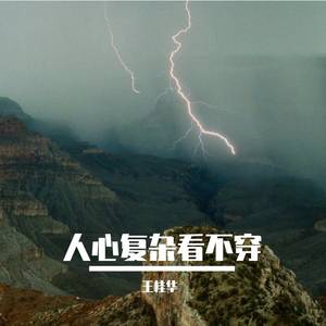 树上的鸟儿成双对