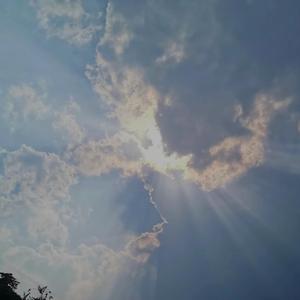 我在昨天的梦里又看见了你