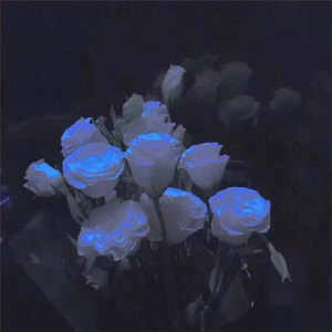 云雾吹散心动 (婴儿早教音乐)