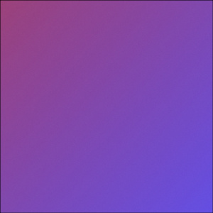 FVN (Cover)