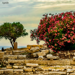 Sybille
