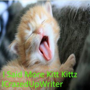 I Said More Kitt Kittz (1.0.0)