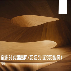 你来时我遇春风（冷冷的街冷冷的风）