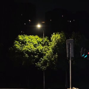 晚风寄情黎明.mp3