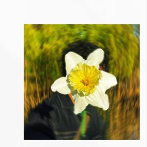 Peony