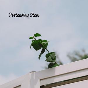 Pretending Stem