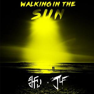Walking In the Sun （JF Bootleg）
