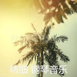 一尘不染烹饪印象数