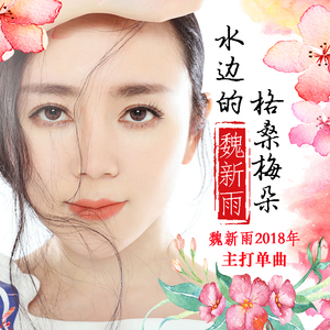 水边的格桑梅朵 DJ版