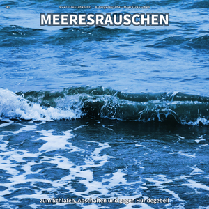 Meeresrauschen