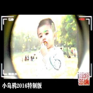 小乌鸦(2016特制版)