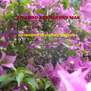 Doce De Octubre, Sarandi