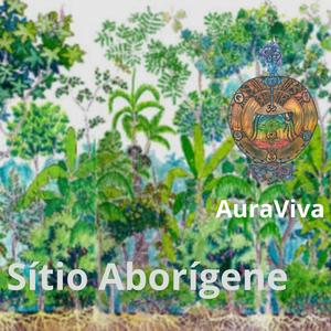 Sítio Aborígene