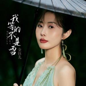 我等的不是雪 (DJ九零版)