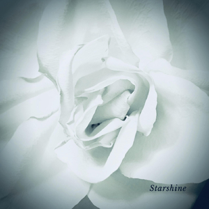 Starshine