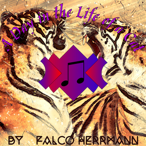 A Day in the Life of a Cat