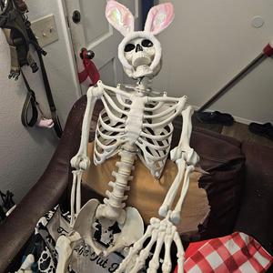 Venegance of Skully (Single)