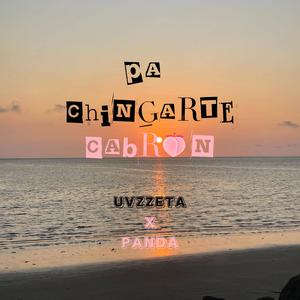 Pa Chingarte Cabrón (feat. Panda Pant)