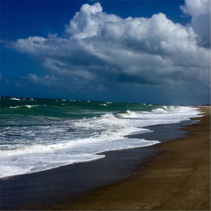 Run On (feat. Allie Ray)