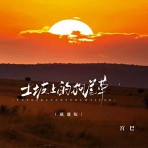 土坡上的狗尾草 (藏语版)